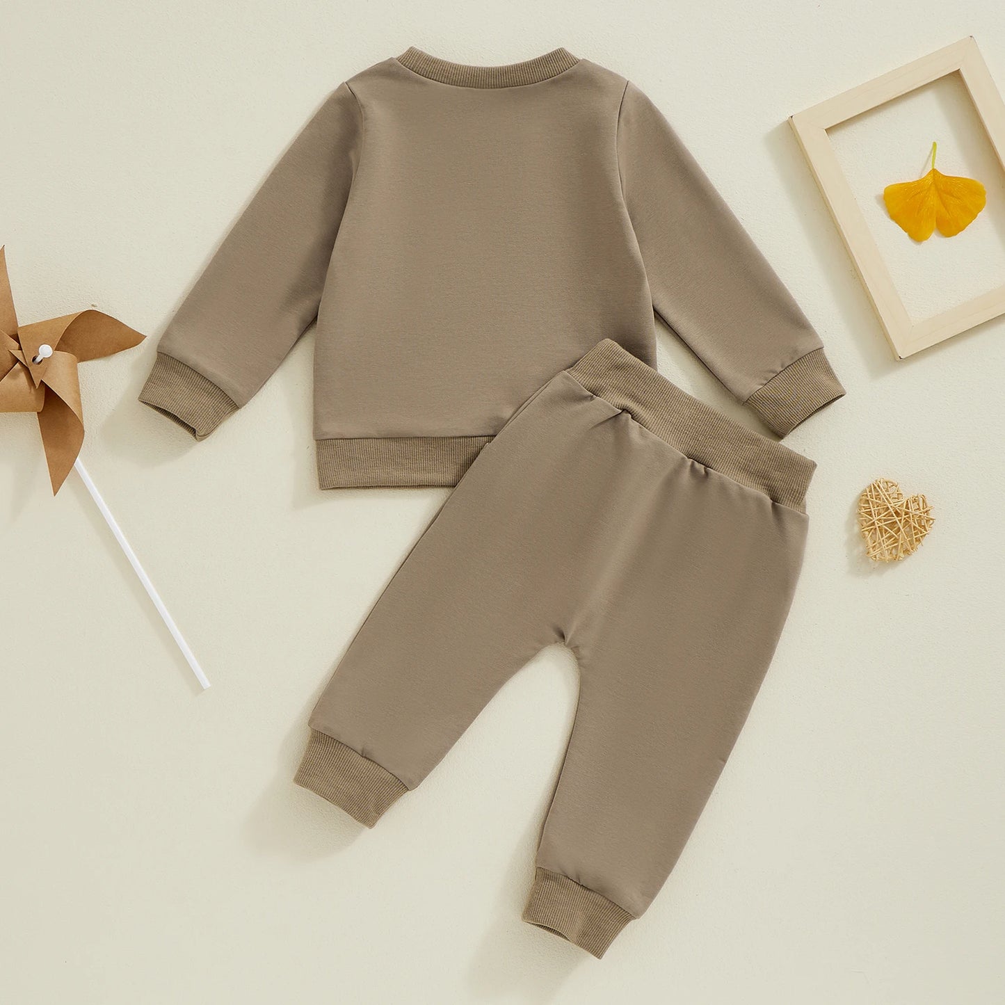 Boys Embroidered Duck Sweatshirt Top Set