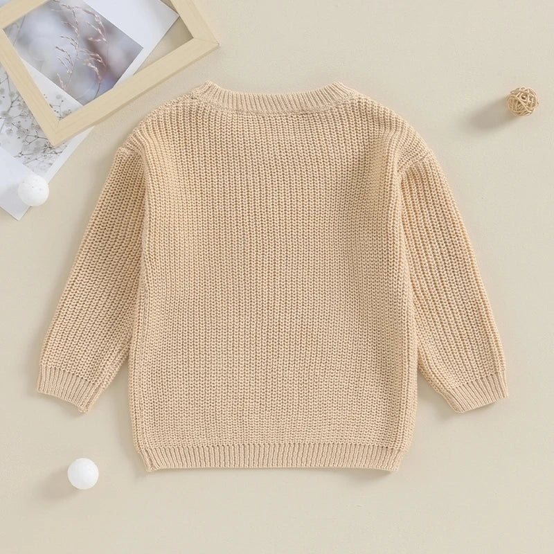 Boys Embroidered Little Brother Script Knit Sweater