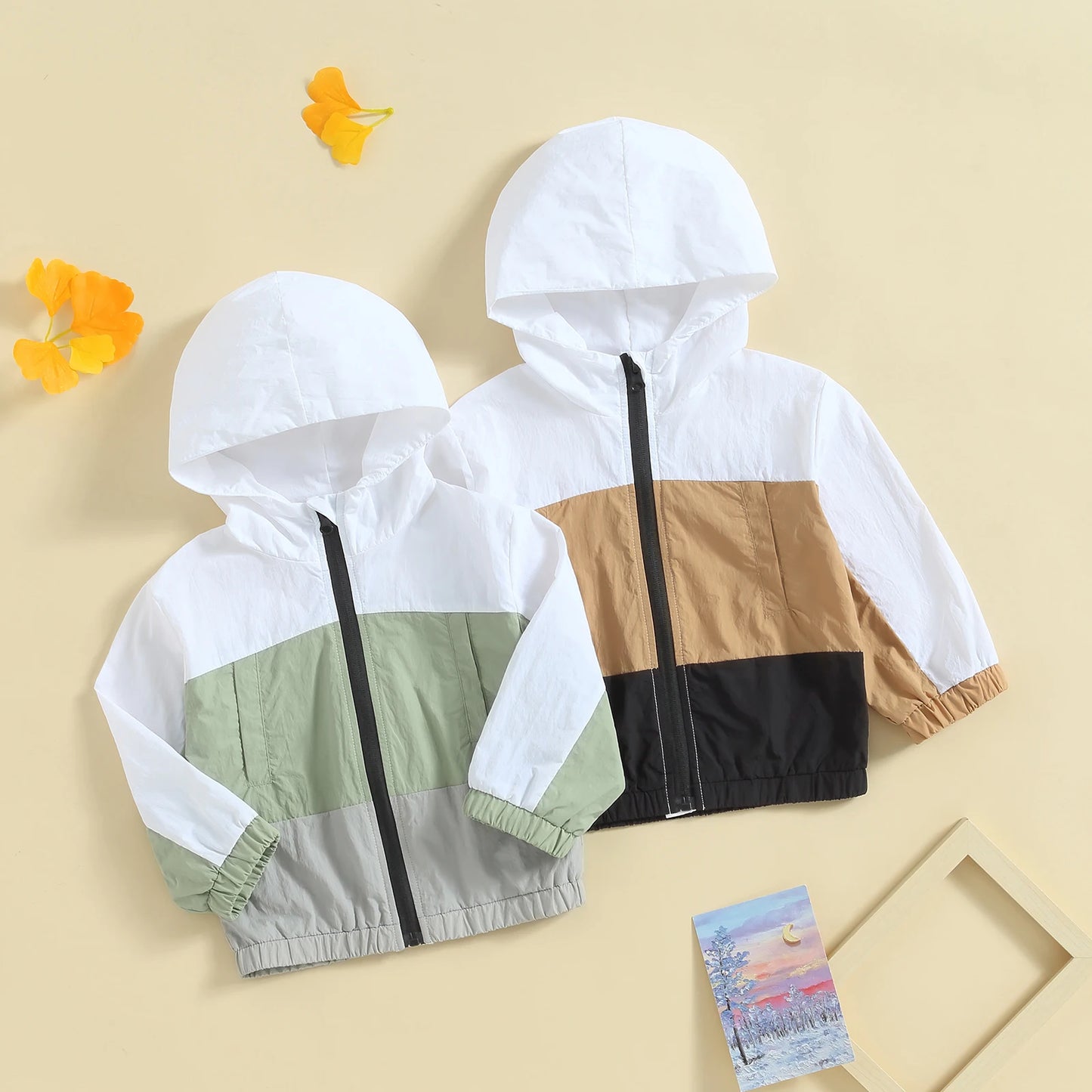Boys Hooded Contrast Color Zip Jacket