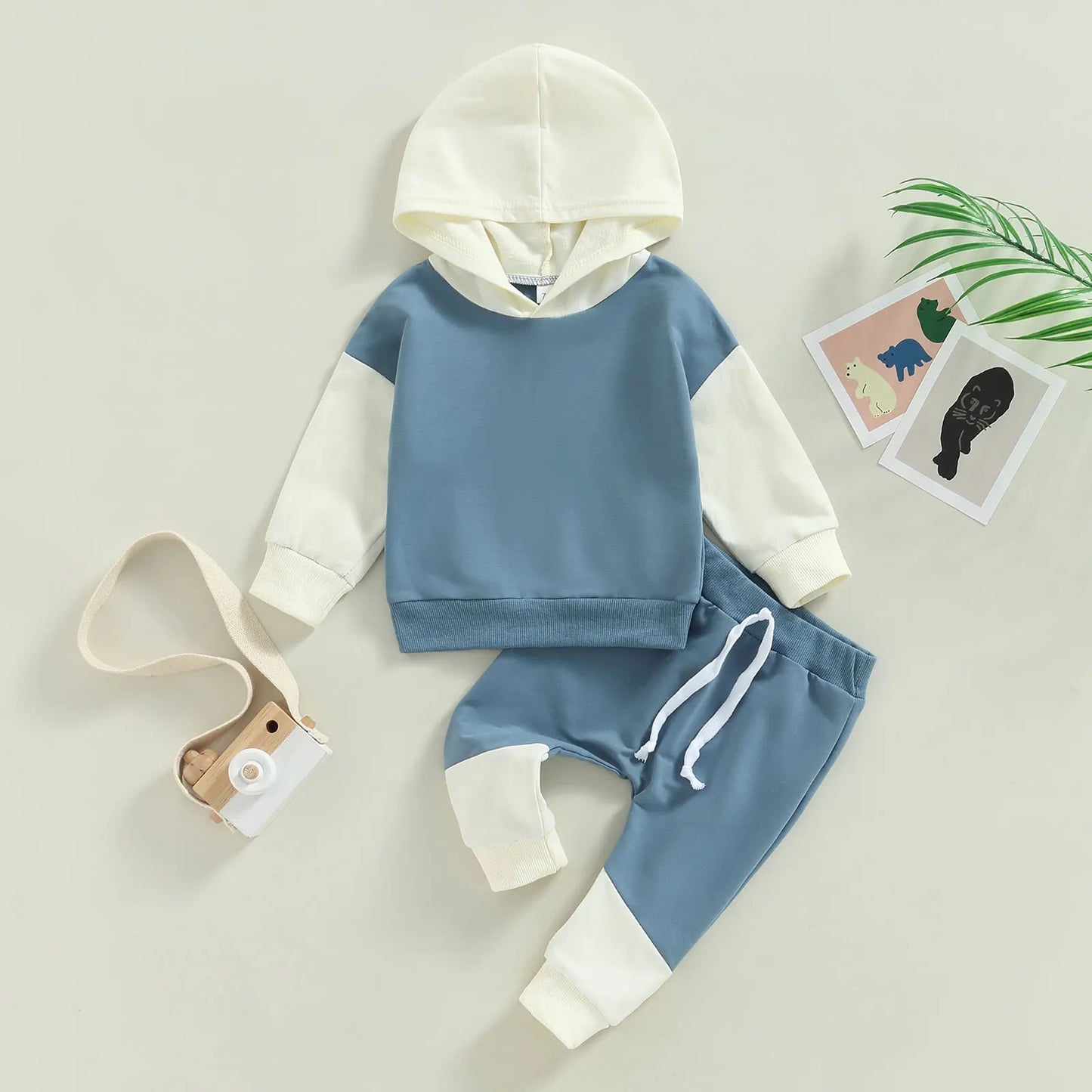 Boys Contrast Color Tracksuit Hoodie Pant Set