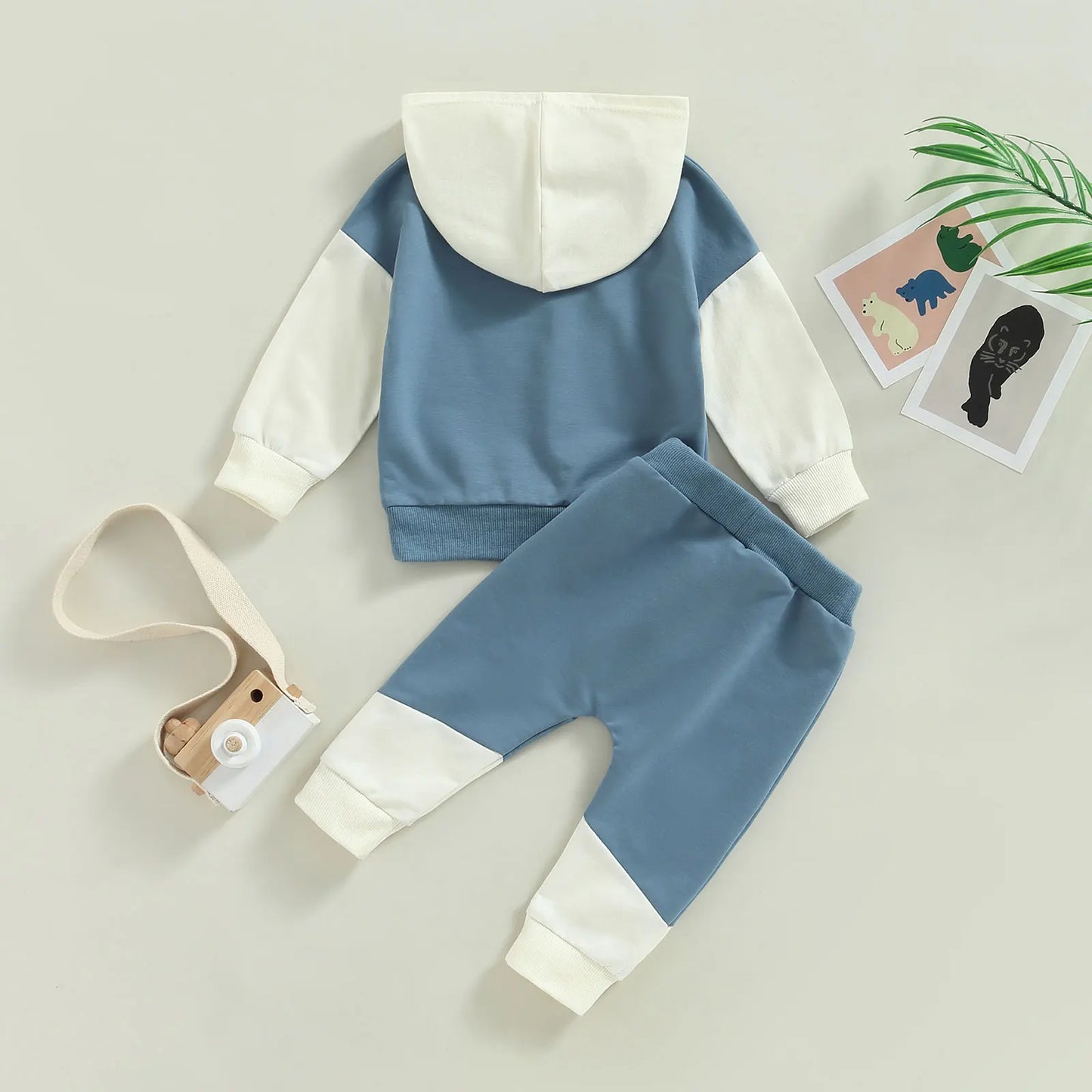 Boys Contrast Color Tracksuit Hoodie Pant Set
