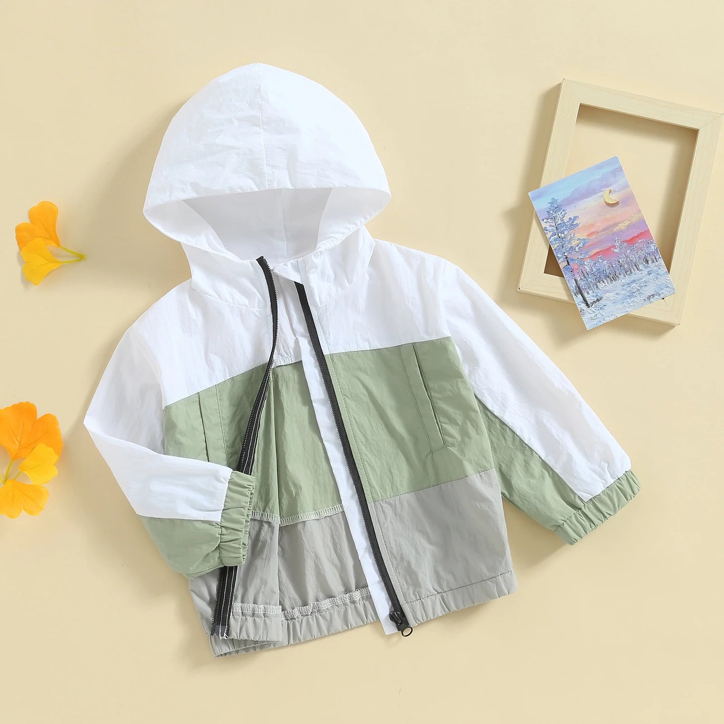 Boys Hooded Contrast Color Zip Jacket
