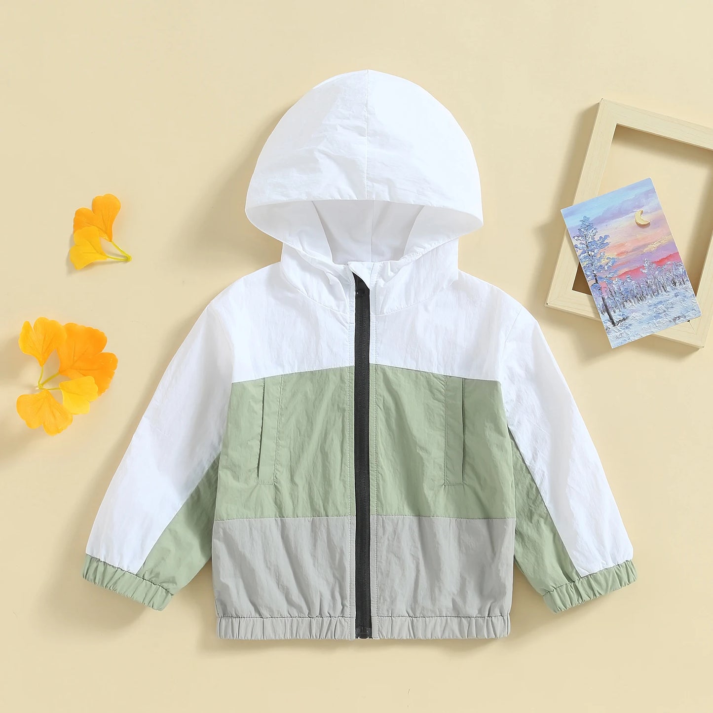 Boys Hooded Contrast Color Zip Jacket