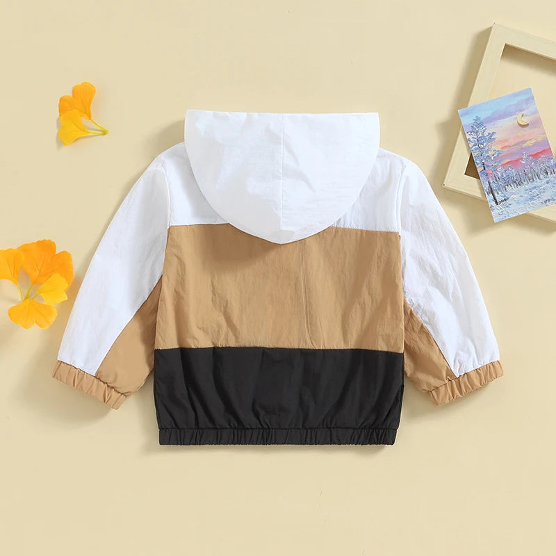 Boys Hooded Contrast Color Zip Jacket